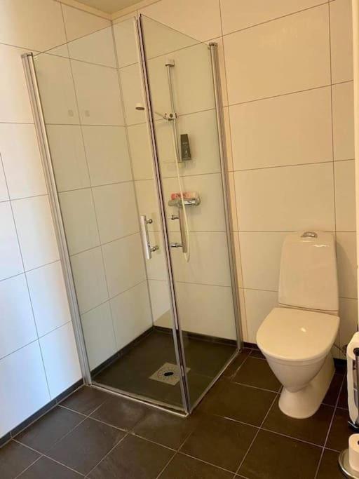 Leilighet Sentralt Pa Senja Silsand Kültér fotó